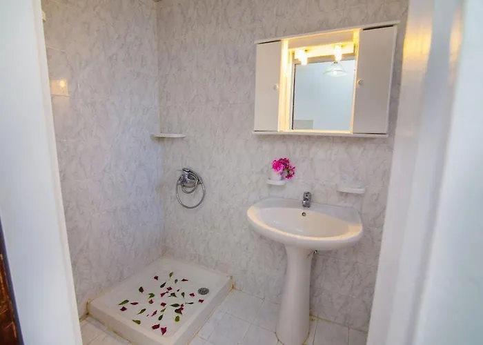 公寓 多丽丝别墅 *